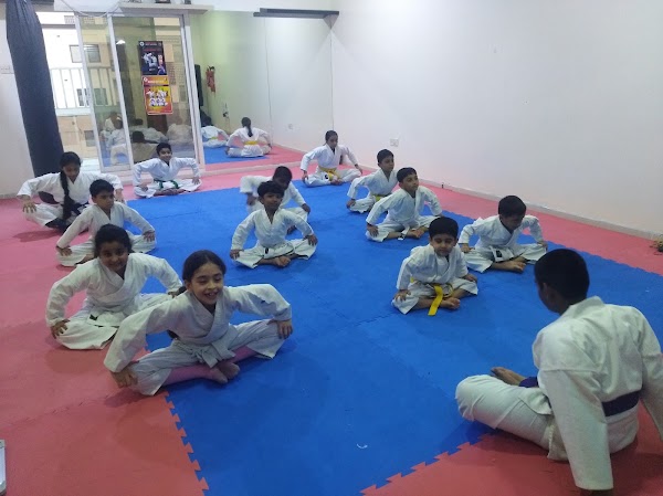 Silver Medal Self Defence — Martial Arts in Dubai