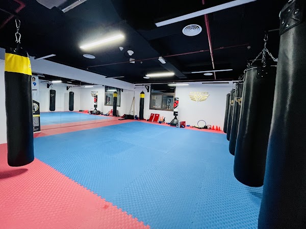 MIDTOWN MARTIAL ARTS CLUB — Martial Arts in Dubai