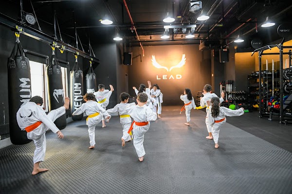 LEAD Academy - Mirdif — Martial Arts in Dubai