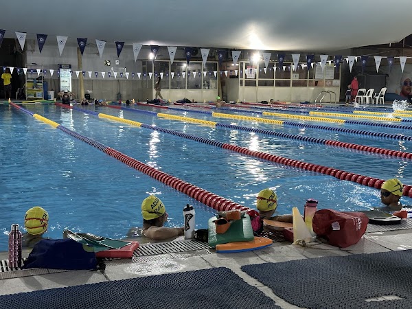 AQUA RACE SWIM ACADEMY — Swimming in Dubai