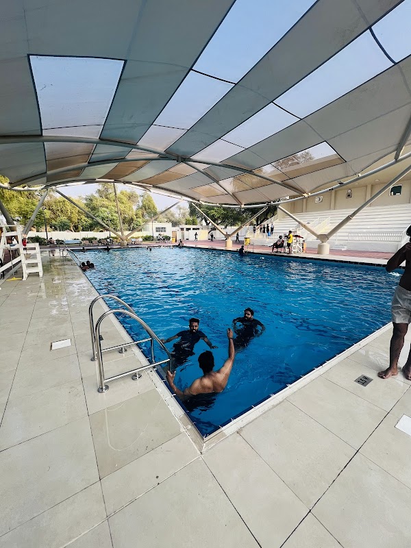 Little Champions Swimming academy — Swimming in Dubai