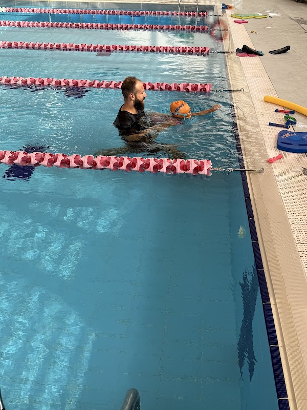 Savy Dolphins Swimming Academy — Swimming in Dubai